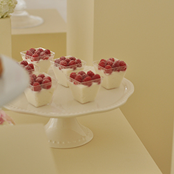 Raspberry Coconut Pudding